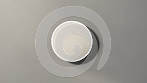 Neutral Circle Mockup on Gray Background