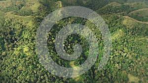 Top down tropic mountain jungle aerial view: green rainforest with palm tree on high hill Philippine