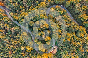 Top down view at a autumnal forest with a double curve and driving automobiles.