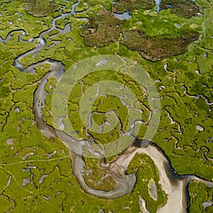 Top down view of the creeks and pools and rivers of the Carrowmore Lacken saltmarsh in northern County Mayo