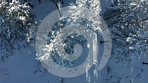 Top down view of cross country skiing tracks in forest