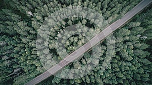 Top down view of the dirt road in dark forest at summer cloudy day