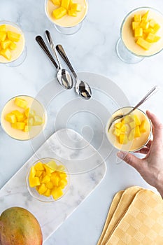 A top down view of glass dessert dishes filled with mango mousse and topped with diced mangos.