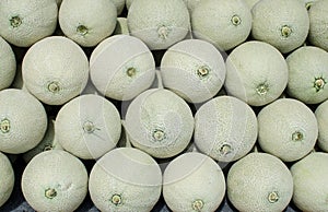 Top down view of a group of whole fresh melons in the marketplace