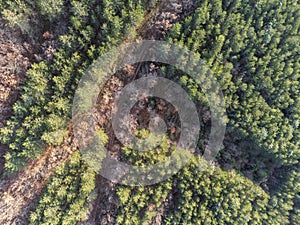 Top-down view of an hairpin bend in the middle of a forest with green and orange trees