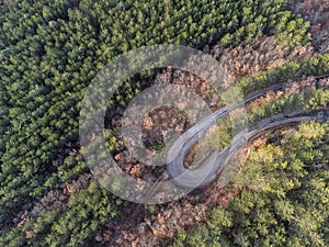 Top-down view of an hairpin bend in the middle of a forest with green and orange trees