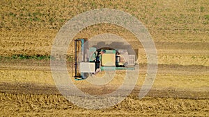Top down view of harvester machine working in wheat field and harvesting crops