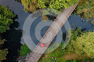 Top-down view on a lake in the park, red umbrella on the wooden path