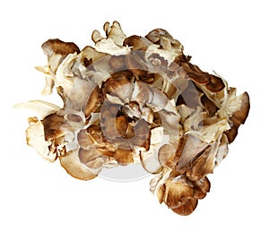 Top Down View Of Maitake Mushroom Pieces