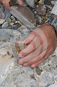 Top down view of man hand researching minerals. Geologic occupation in the nature