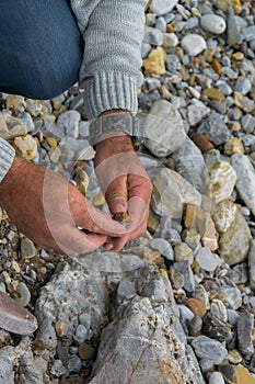 Top down view of man hand researching minerals. Geologic occupation in the nature