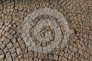 Arched Cobblestone Pavement With Small Plants