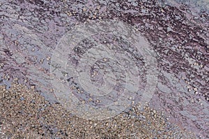 Top down view of seashore rocks