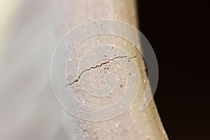 Top edge of a red clay pot with crack due to fast drying and too deep furrows due to texture decoration. dried and