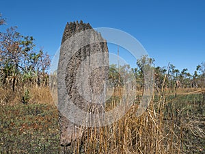 Top end Magnetic termite mound horizontal photo