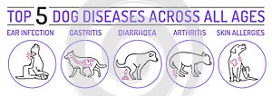 Top five dog diseases. Horizontal medical poster.