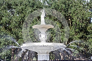 Top of Forsyth Park Fountain