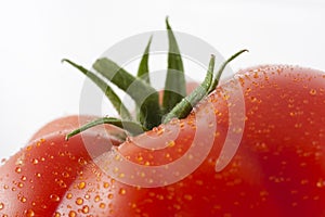 Top of fresh tomato
