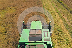 Top front view of a green agricultural combine harvester with a revolving reel harvesting crop in a large grain field in
