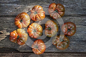 Top front view of a group of red tomatoes produced in an organic urban garden in a rural home field