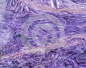 Top grade Charoite polished slab from Sakha Republic, Siberia, Russia like art background, texture.