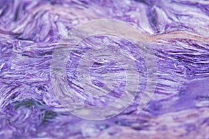 Top grade Charoite polished slab from Sakha Republic, Siberia, Russia like art background, texture.