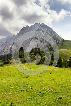 Top of the Grosser Donnerkogel Mountain in Alps, Gosau, Gmunden district, Upper Austria federal state, sunny summer day