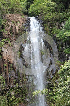 The top half of Wailua Falls cascading down a rocky, volcanic cliffside in a rainforest in Hana, Maui, Hawaii