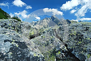 Top of High Tatras in Background