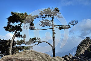 Top of the hills at Mount Jiuhua, Nine Glorious Mountains