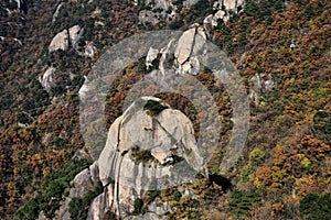 Top of the hills at Mount Jiuhua, Nine Glorious Mountains