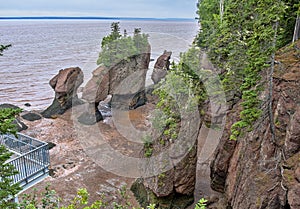 Top of Hopewell Rocks