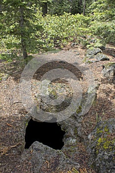 Top Hornito Hole Into Forest Cave