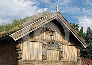 Top of house with grass roof