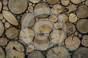 Top image of background of round wooden sections of different shapes and sizes