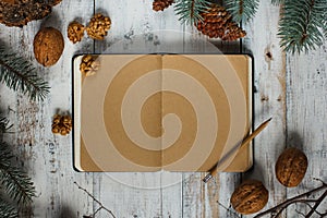 Top image of open book with vintage blank pages and Christmas decorations on a wooden table. New concept. Nuts and christmas trees