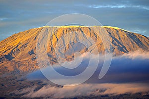 Top of kilimanjaro mountain in the sunrise