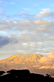 Top of kilimanjaro mountain in the sunrise