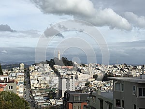 From the top of Lombard Street with Coit Tower in the background 2