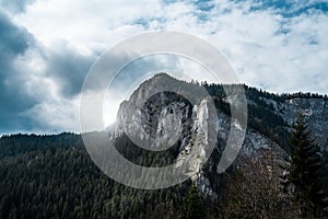 The top of low stone mountains in forest.