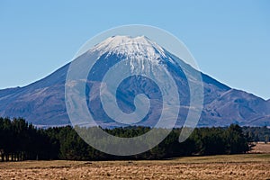 The top of the Mount Doom / Ngauruhoe covered in snow overlooking fields and trees in New Zealand