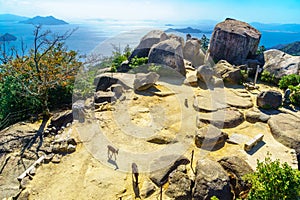 Top of Mount Misen, in Miyajima