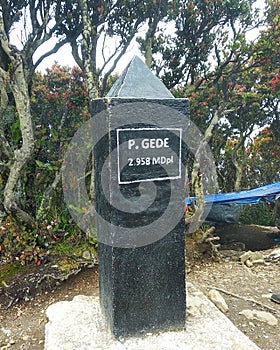 the top of Mount Pangrango