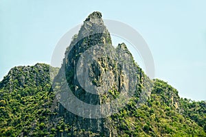 Top of Mountain : Pha Nok Khao, Loei, Thailand