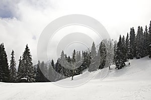 Top of the mountain with snow