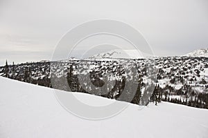 The top of the mountains