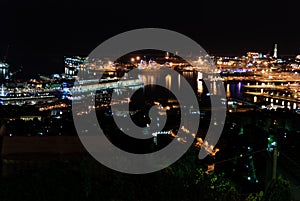 Top night view of the port of Genoa