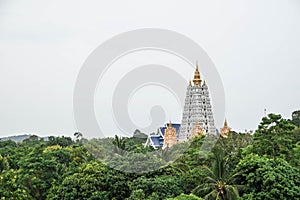 Top of Pagoda emerge from big forests in Thailand