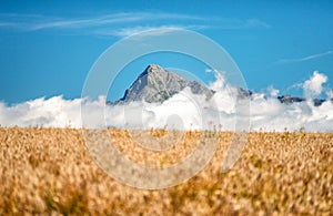 Vrchol vrcholu Kriváň ve Vysokých Tatrách, Slovensko