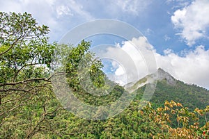 Top of peak mountain forest with white clouds or fog and blue sky of `LerGuaDa` or `Ler Gwa Dor` Tak province, Thailand, Asia. photo
